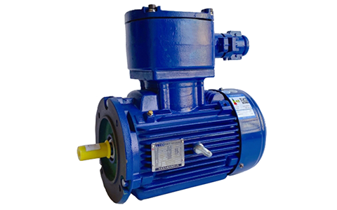 Motor a prueba de explosiones TECO Exd IICT4