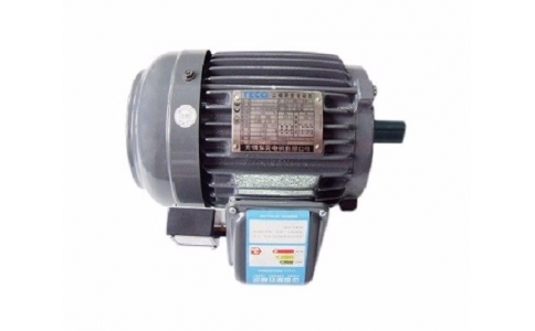 TECO Brake Motors
